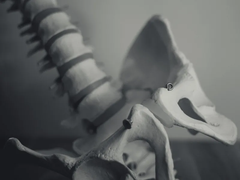 X-Rays at Carroll Chiropractic in Westminster